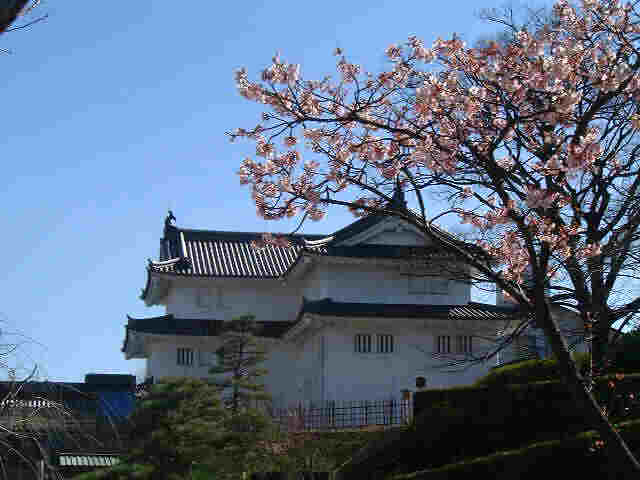 sunpu020211d.jpg