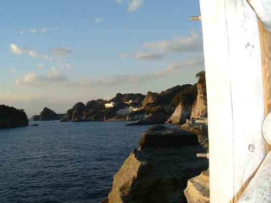 dougashima020214b.jpg